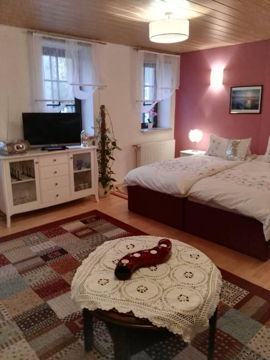Studio ∙ 2 Gäste - Ilmenau