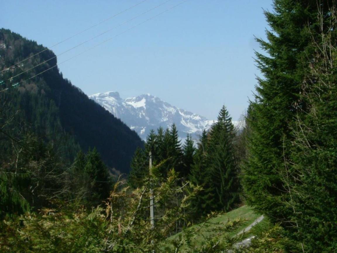 foto12