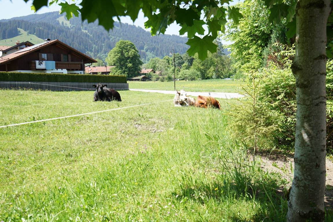 foto25
