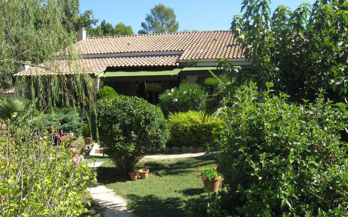 foto1