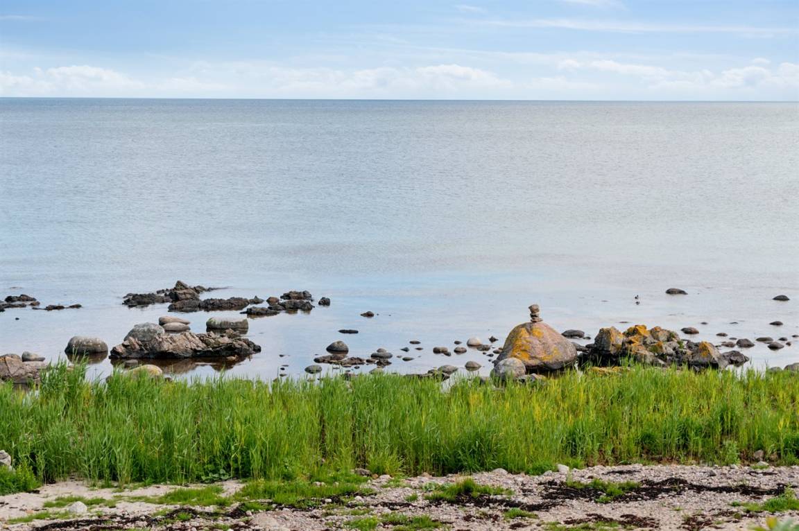 foto26