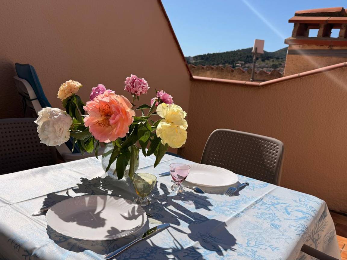 21 M² Studio ∙ 1 Slaapkamer ∙ 2 Gasten - Banyuls-sur-Mer