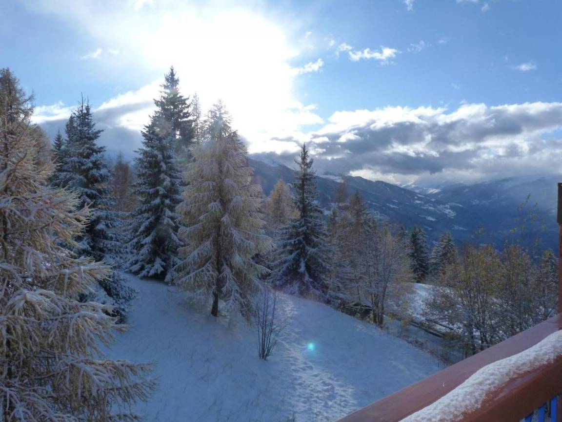 foto4