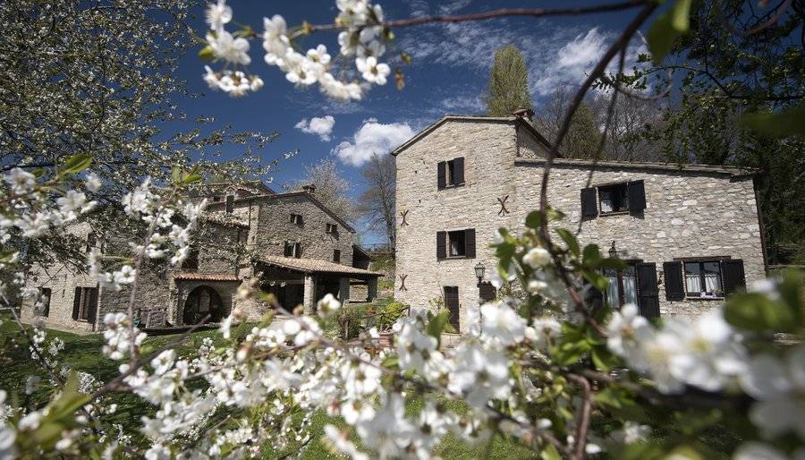420 M² Farmhouse ∙ 9 Bedrooms ∙ 28 Guests - Umbria