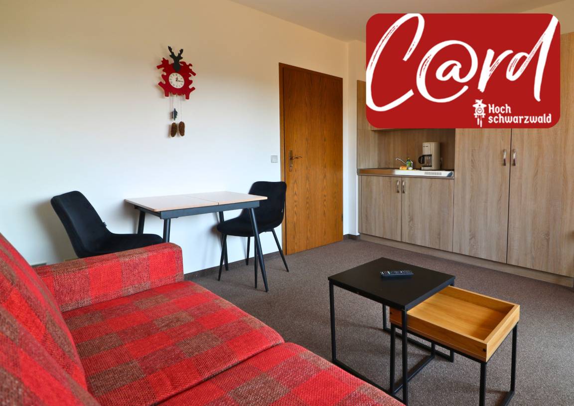 33 M² Ferienwohnung ∙ 1 Schlafzimmer ∙ 4 Gäste - Löffingen