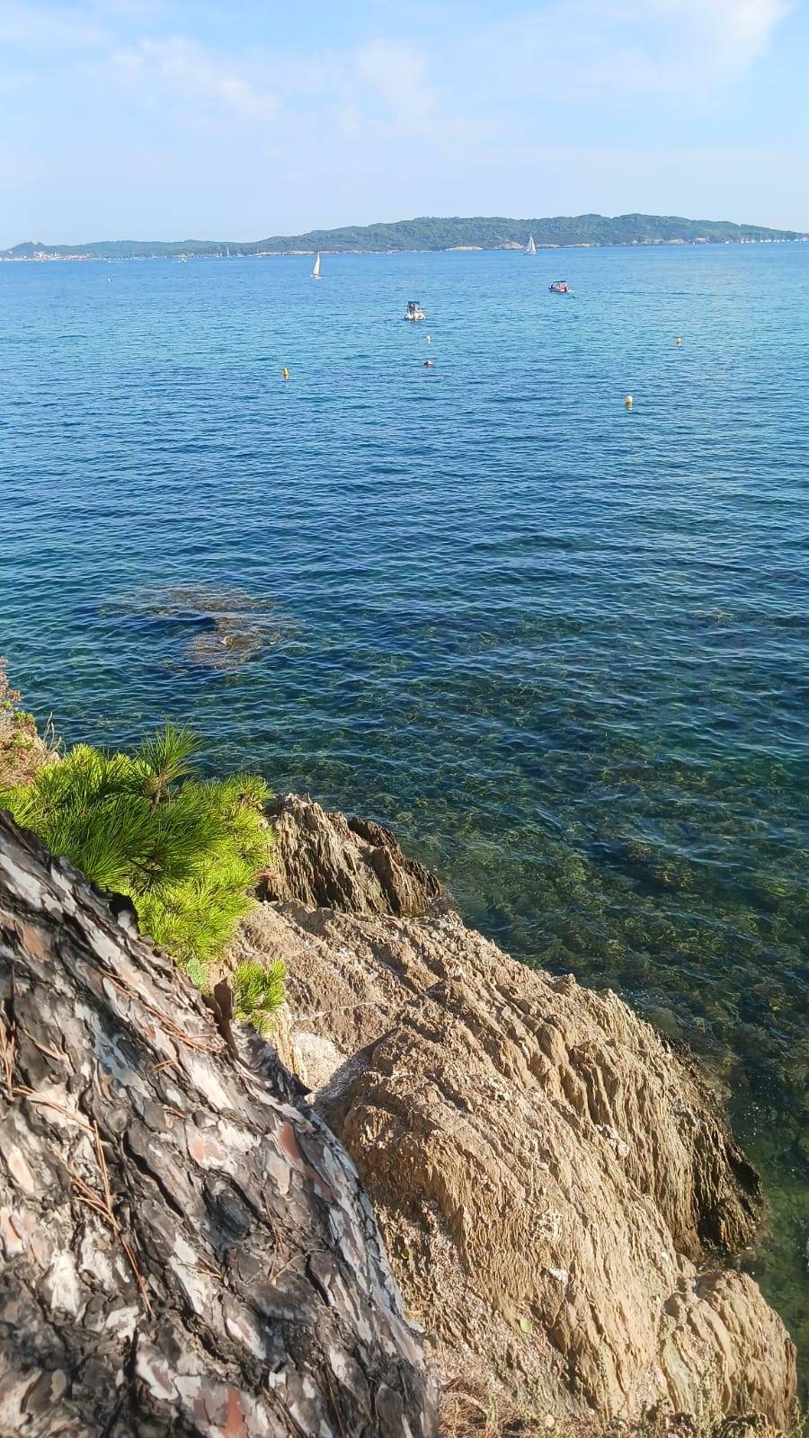 foto31