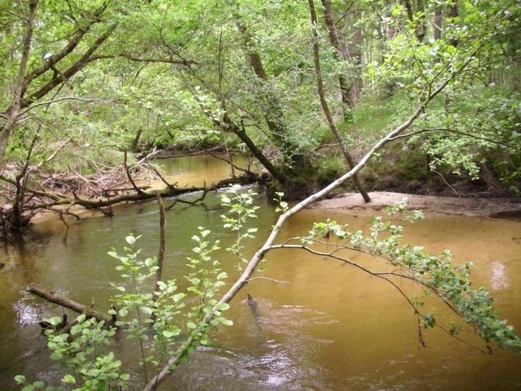 foto12