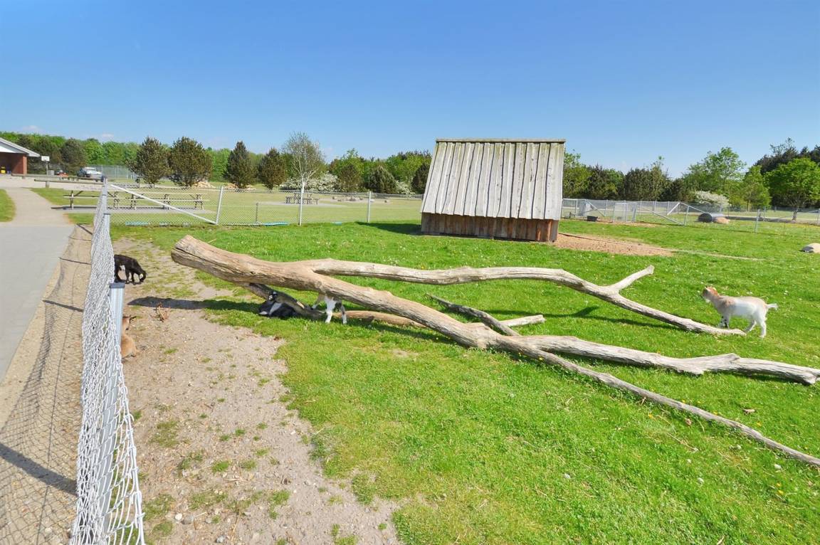 foto27