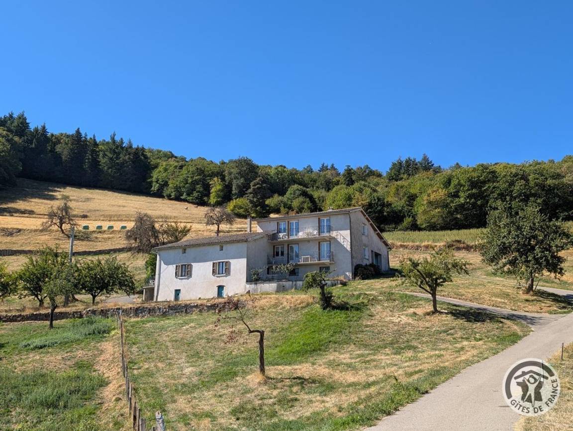 foto19