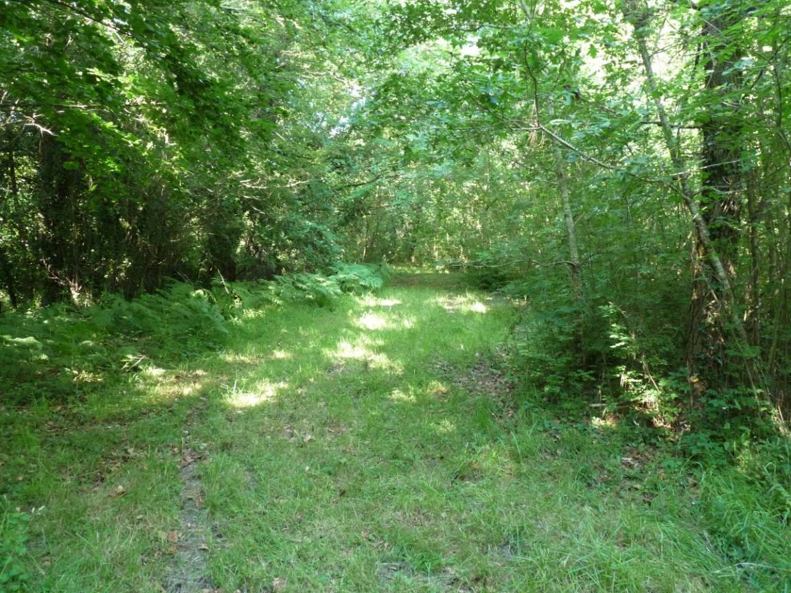 foto16
