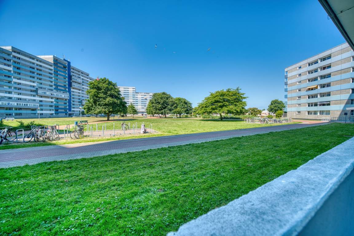 foto10