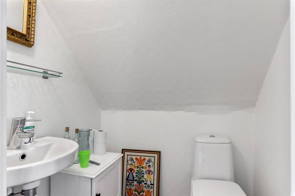 foto19