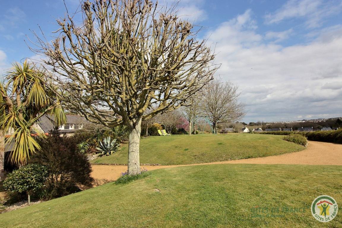 foto31