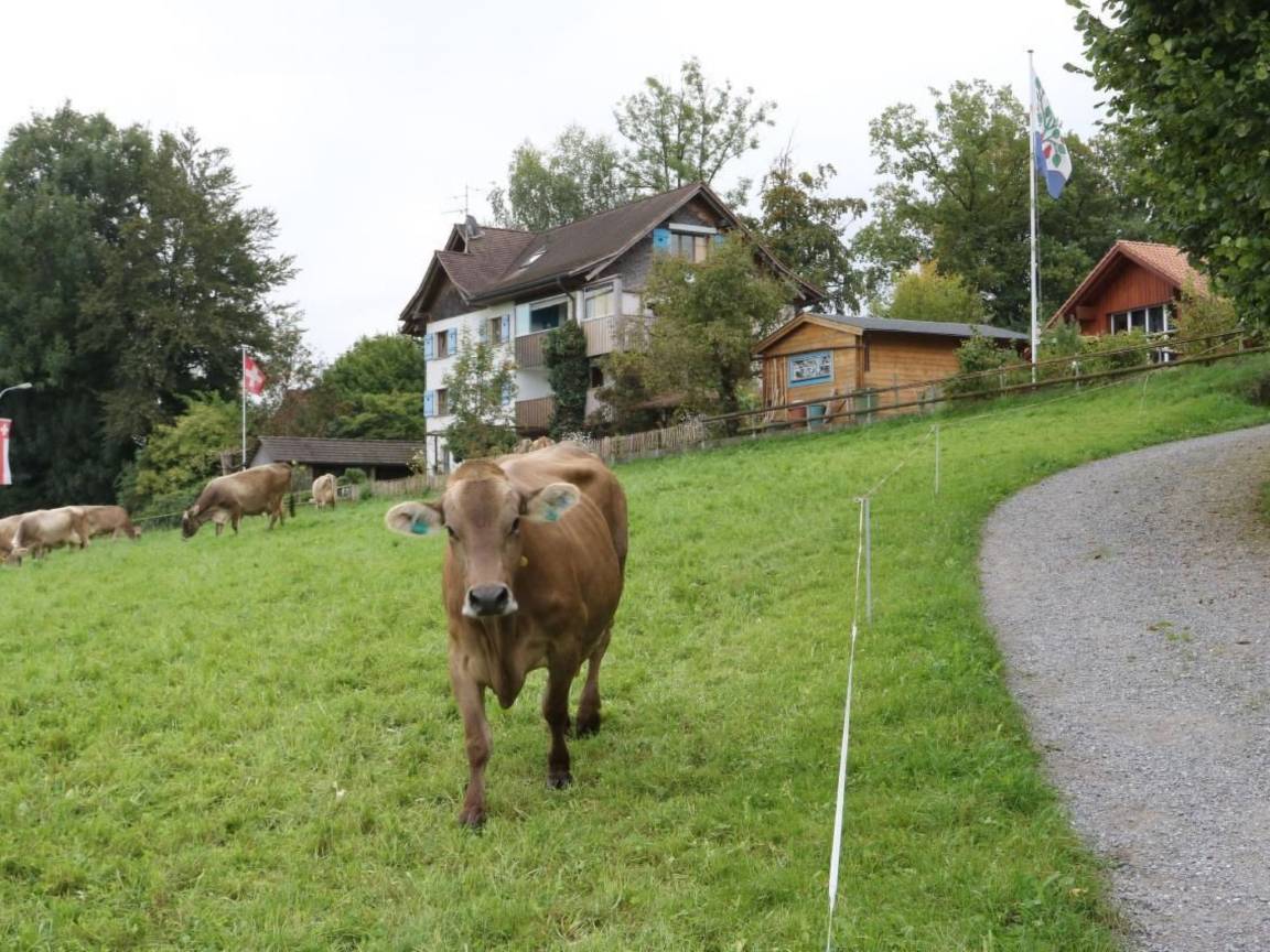 40 M² Ferienwohnung ∙ 1 Schlafzimmer ∙ 3 Gäste - Kanton Thurgau