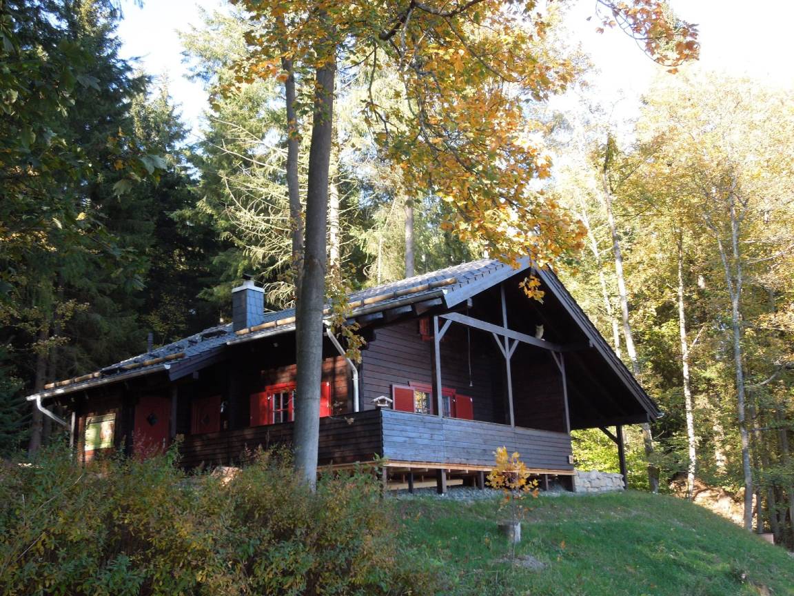 6P Ferienhaus im Harz nah Braunlage in Natur selling Ferienwohnung