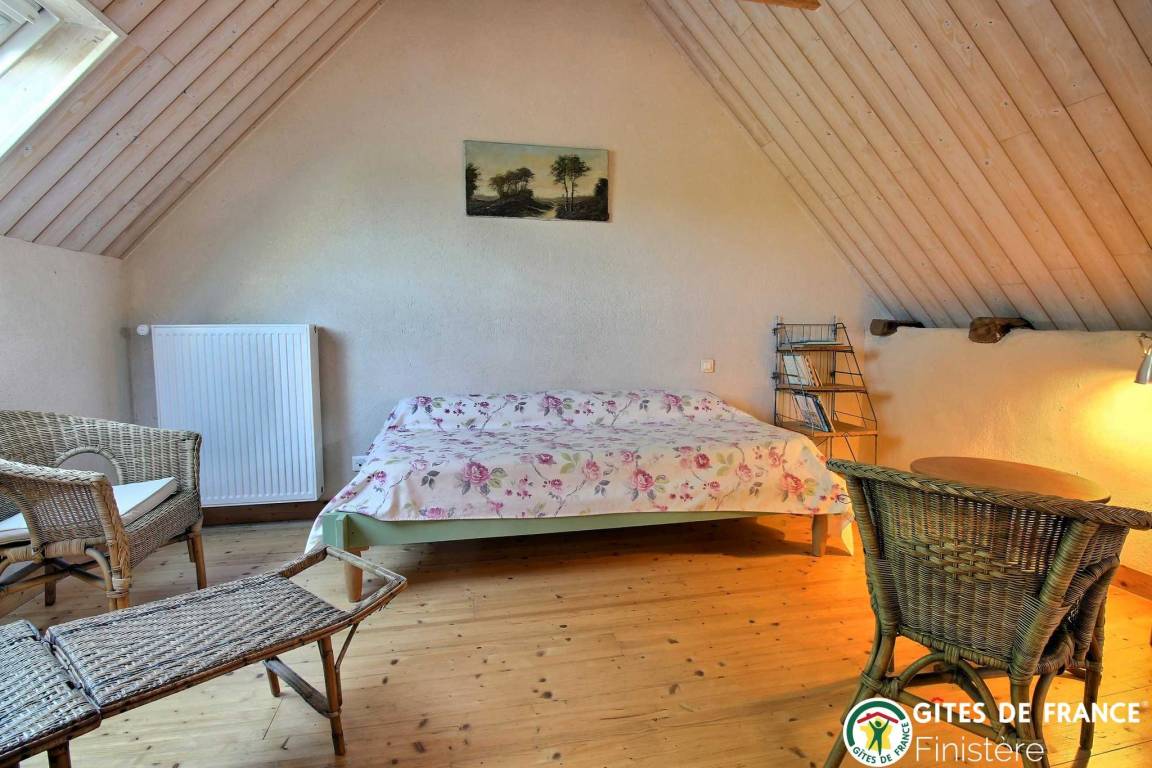 foto31