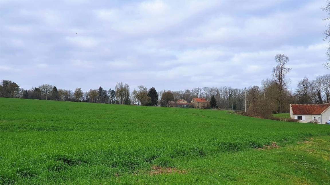 foto19