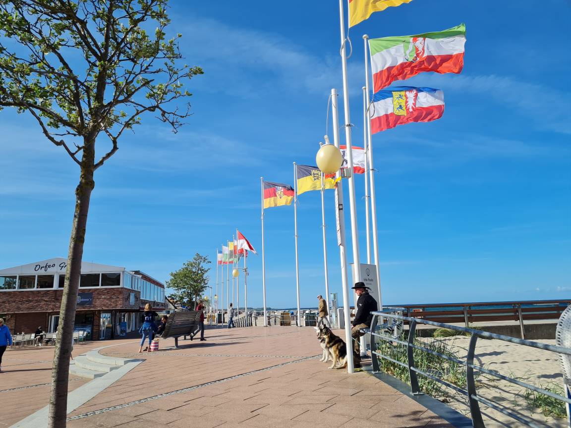 foto20