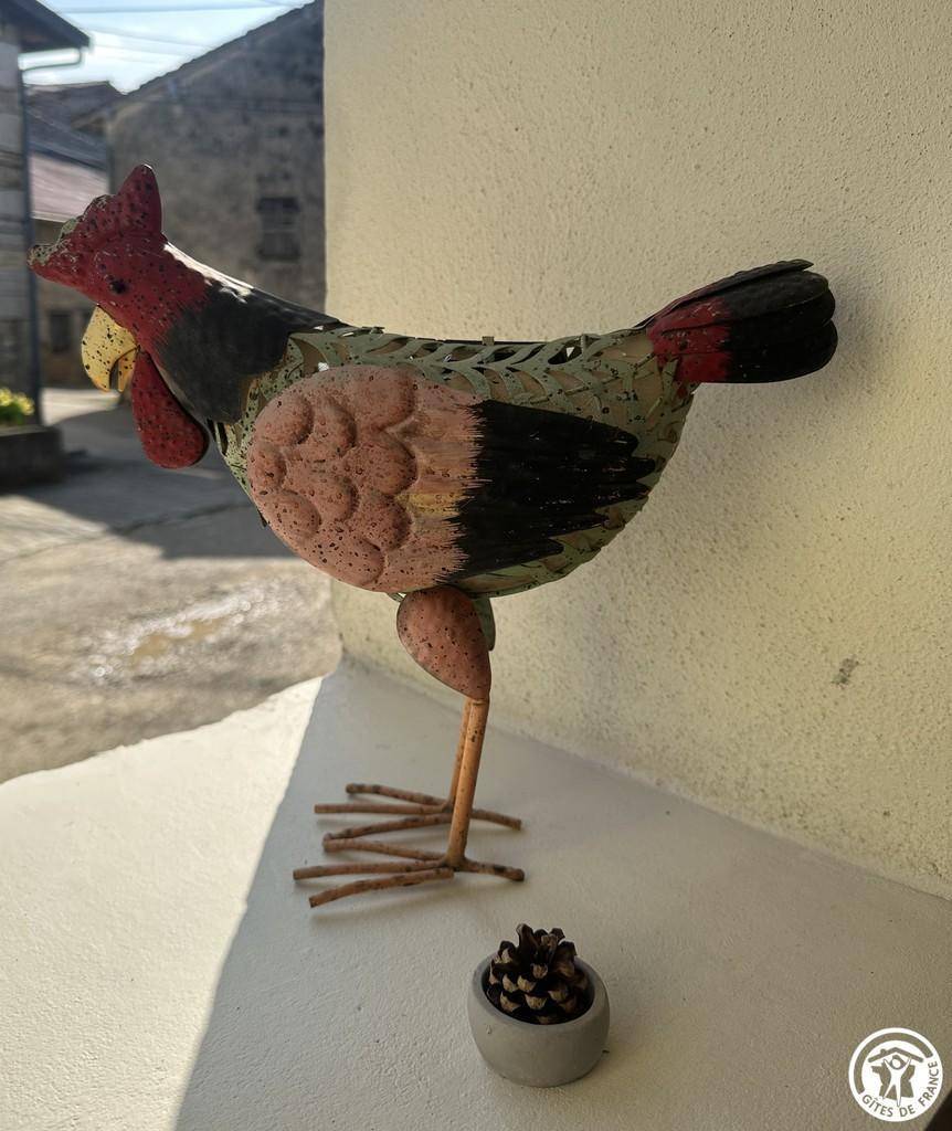 foto11