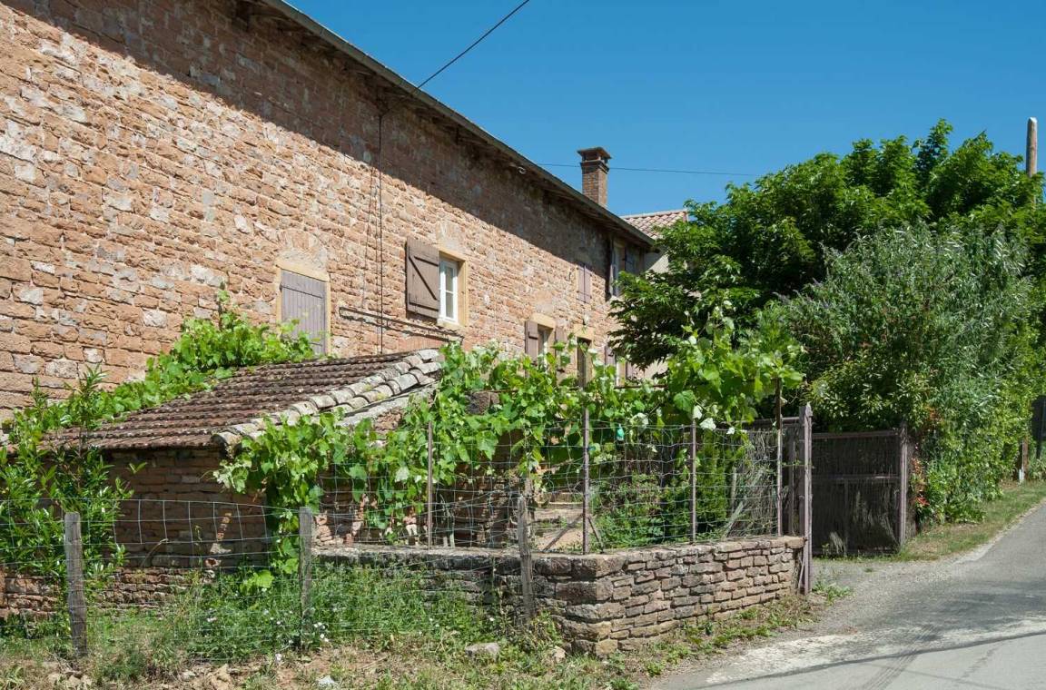foto4
