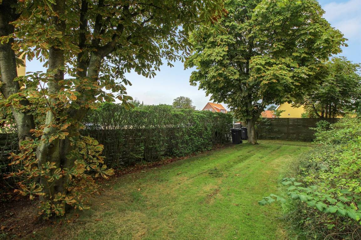 foto16