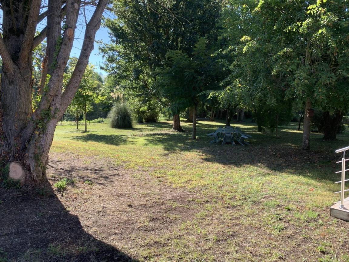 foto15
