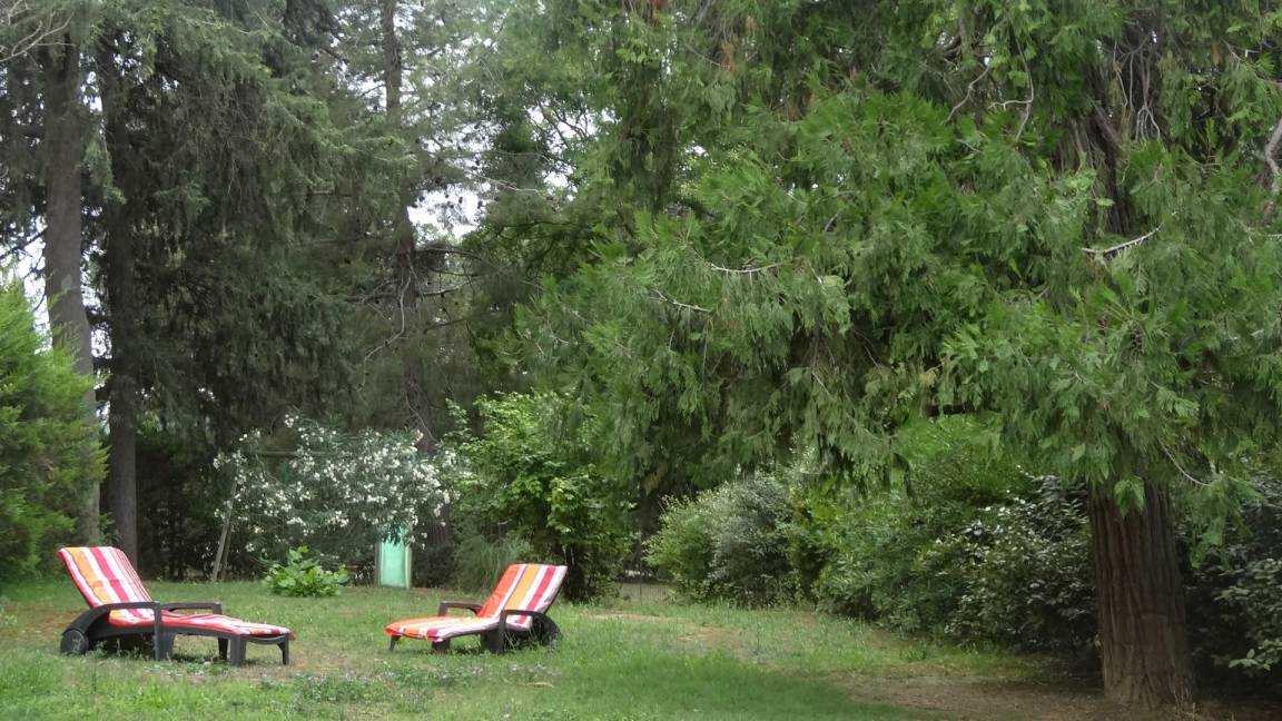 foto12