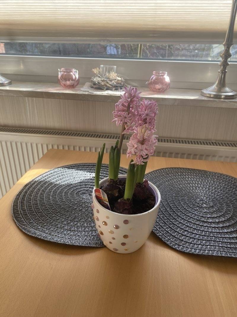 foto19