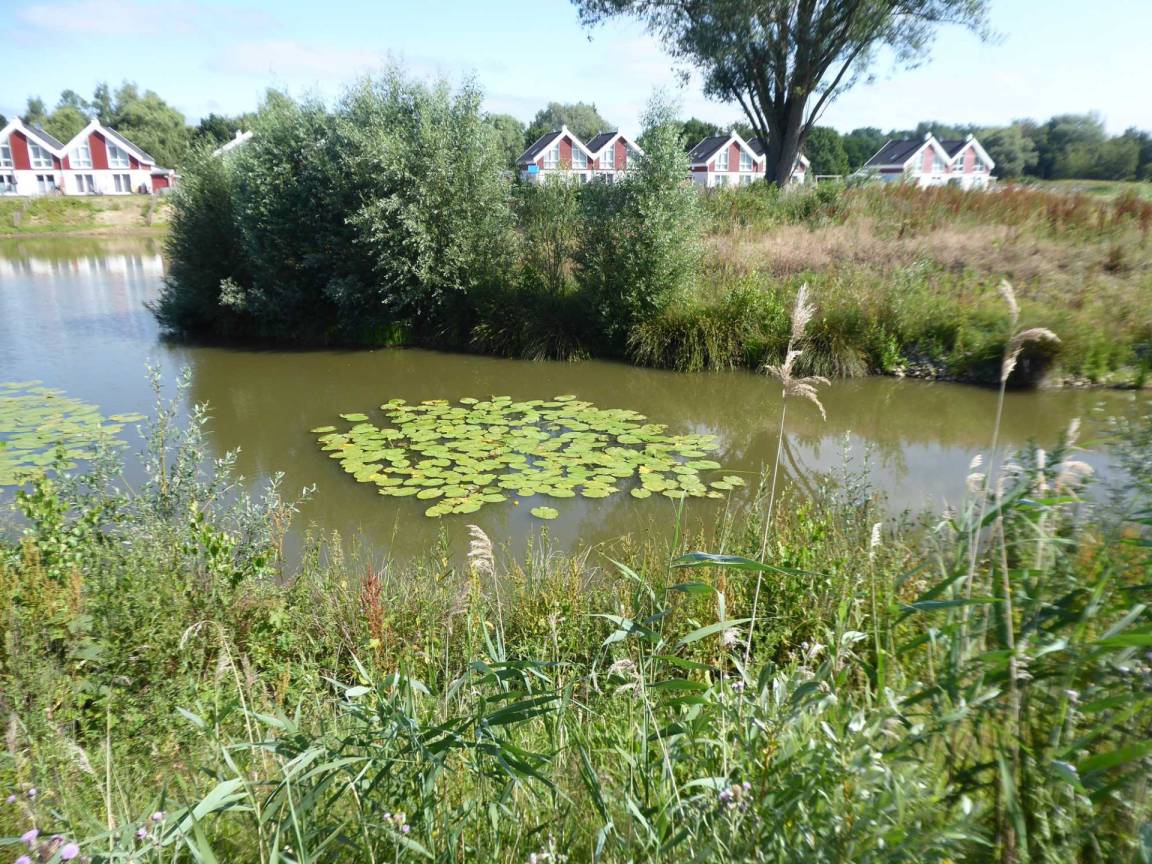 foto33