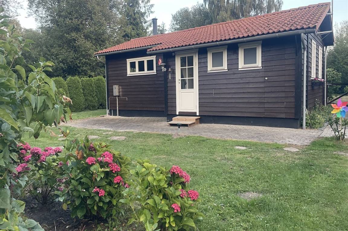 foto21