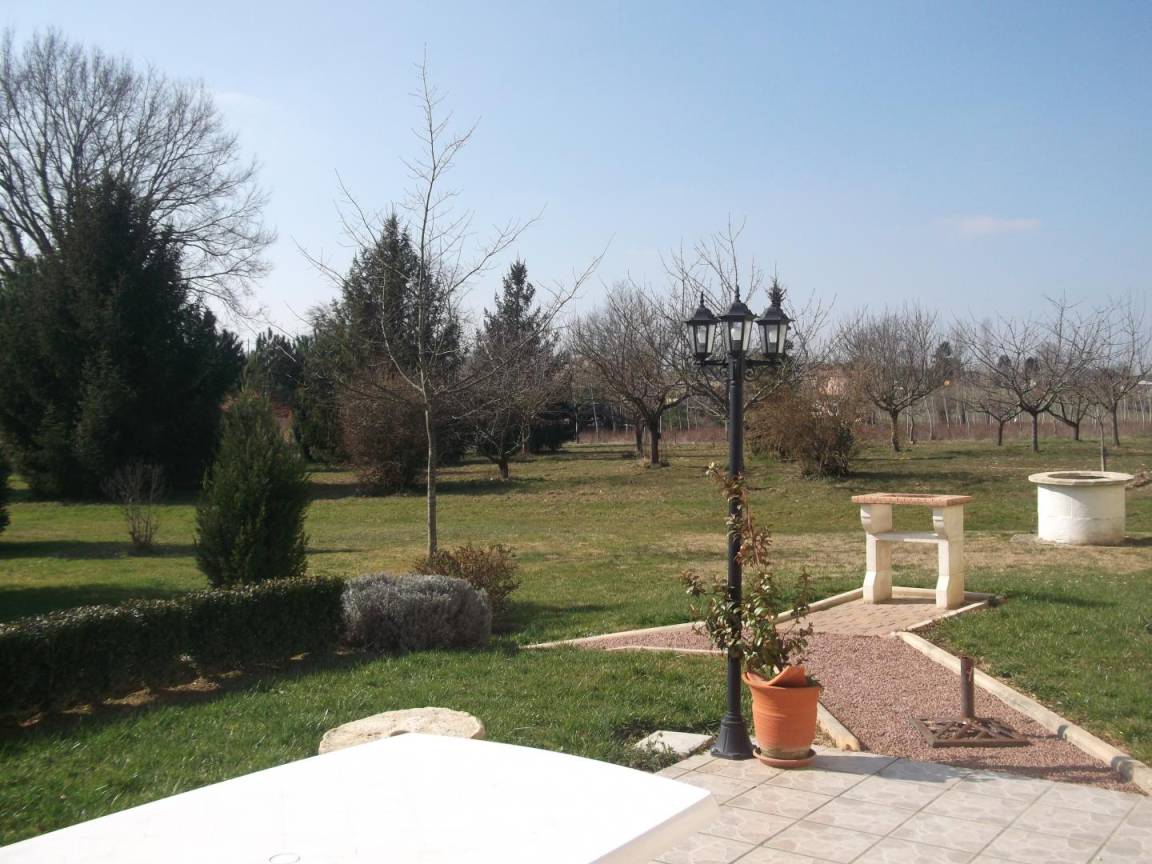 foto11