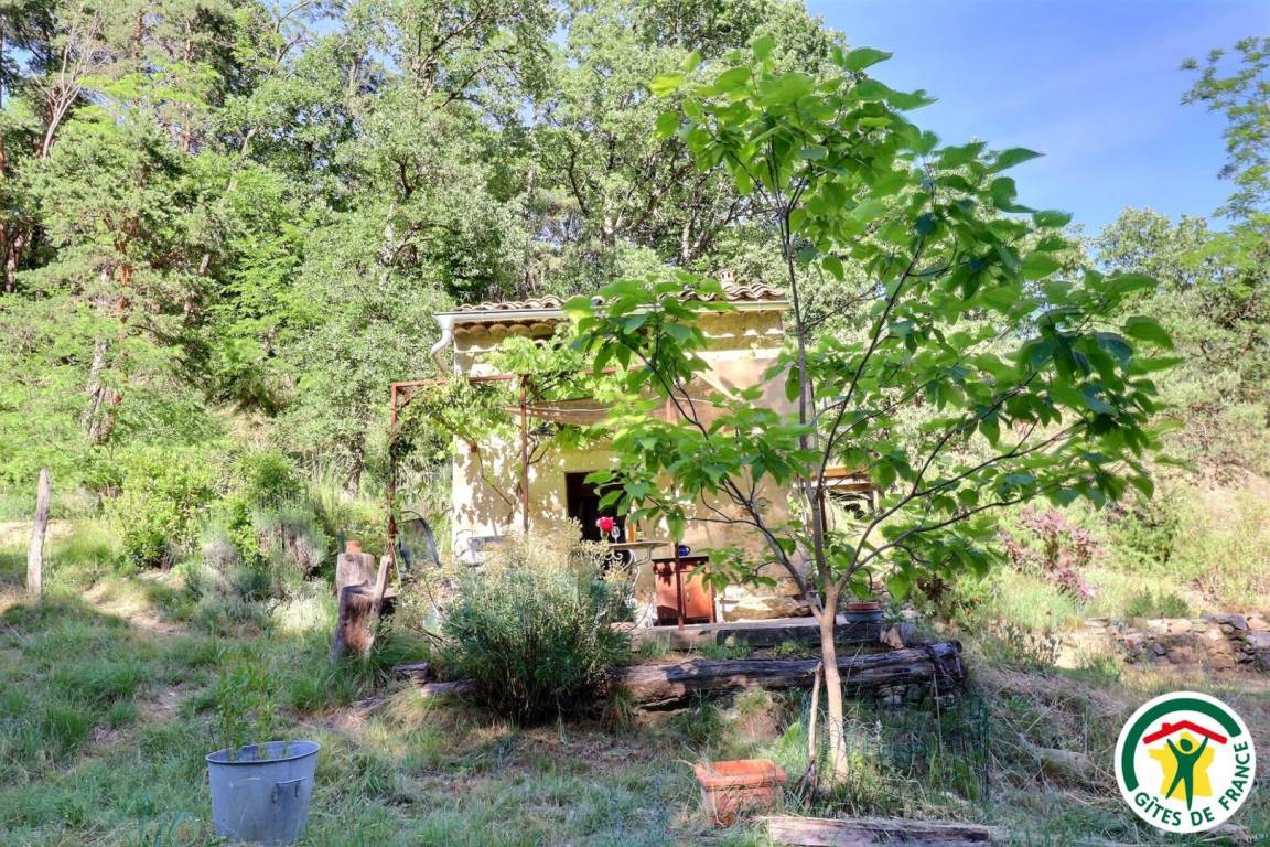 foto13