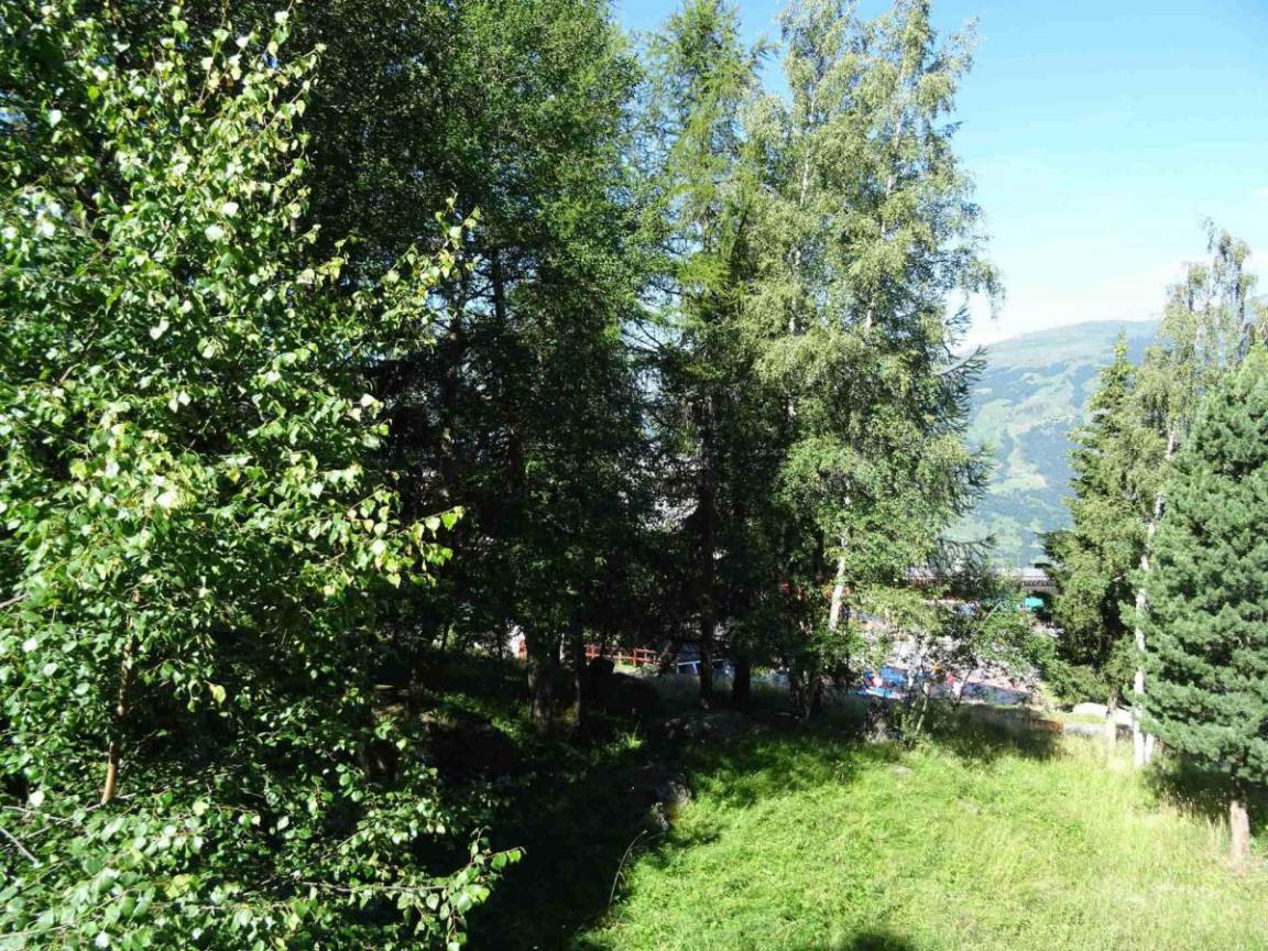 foto15