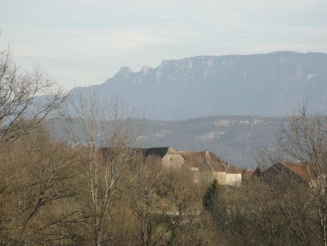 foto12