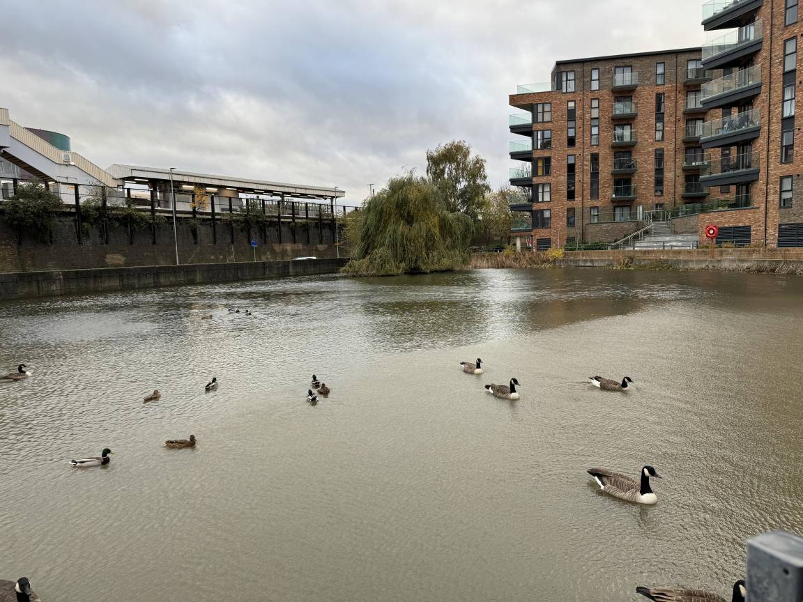 75 M² Apartment ∙ 2 Bedrooms ∙ 4 Guests - Dartford