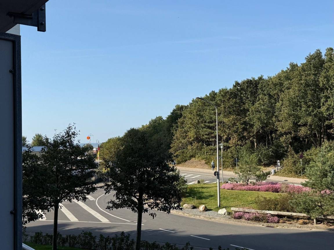 foto10