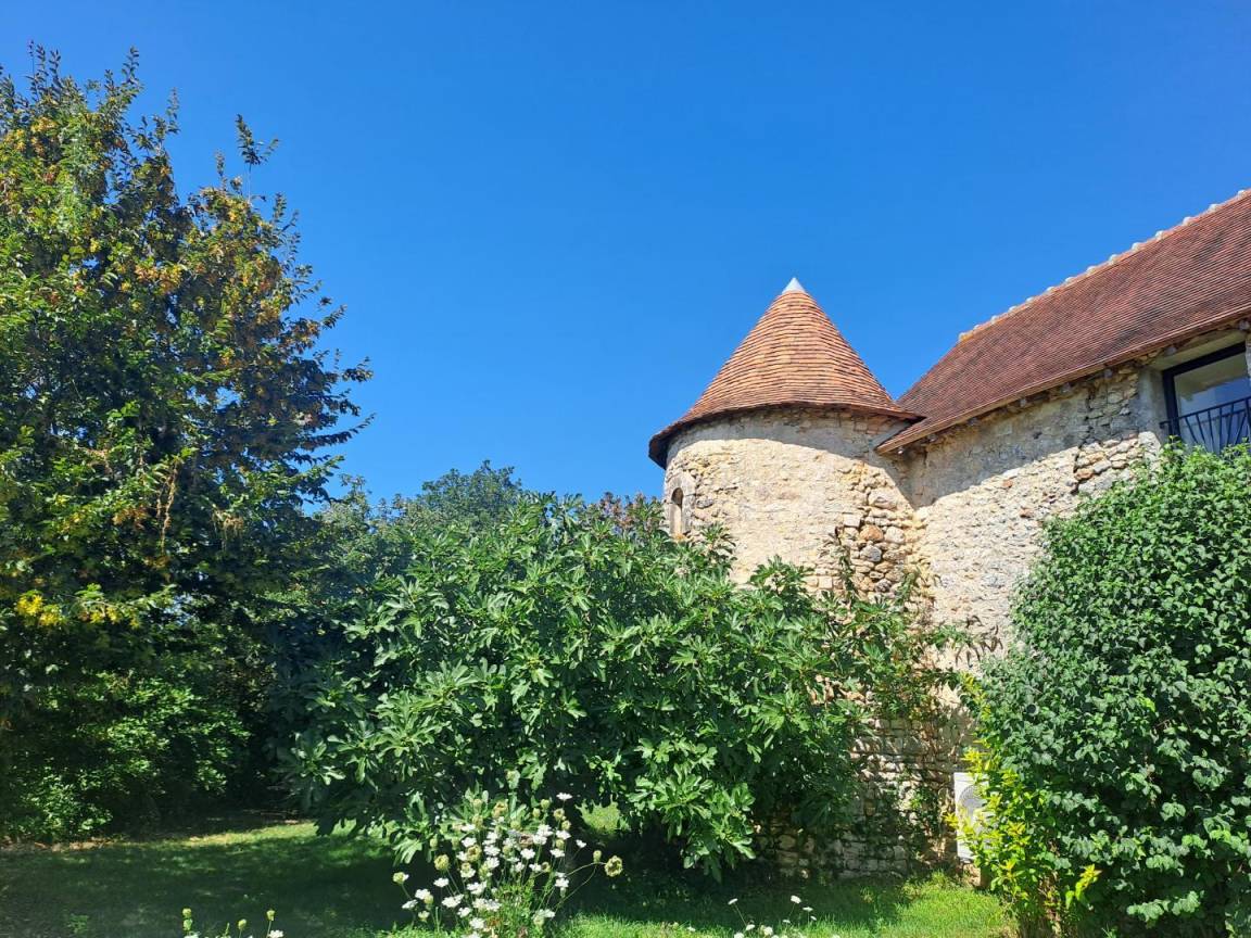 foto1
