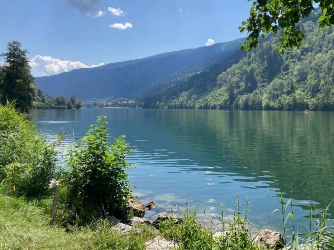 foto1
