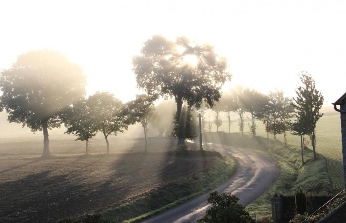 foto16