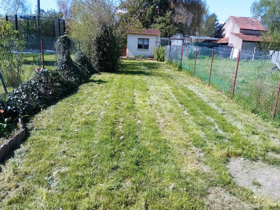 foto2