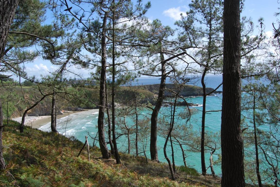 foto15