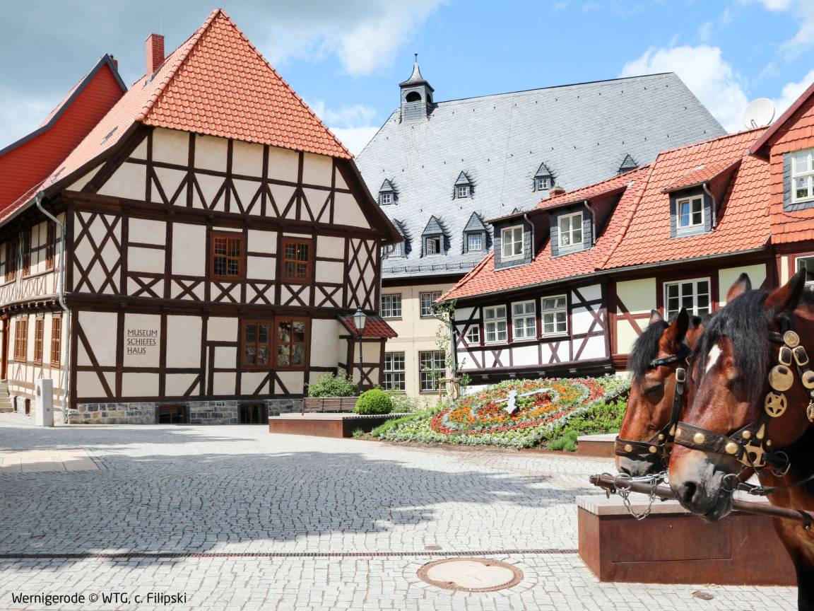 55 M² Apartment ∙ 1 Bedroom ∙ 3 Guests - Wernigerode