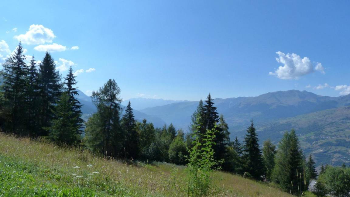 foto10