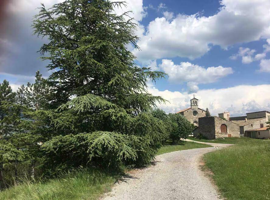 foto14