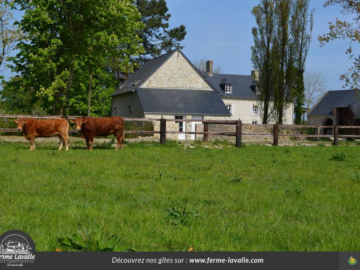 40 M² Cottage ∙ 1 Bedroom ∙ 2 Guests - Normandy