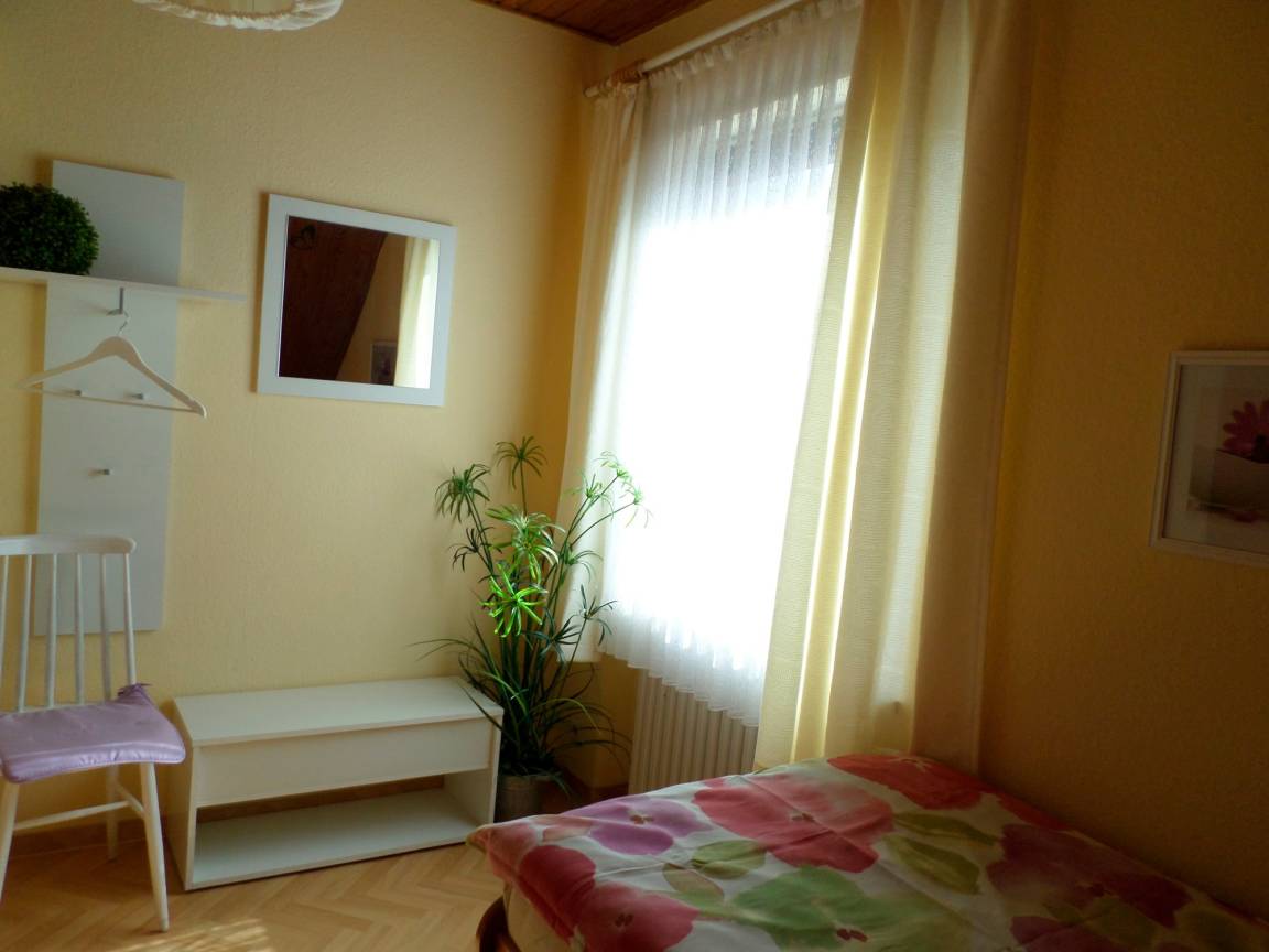 foto7