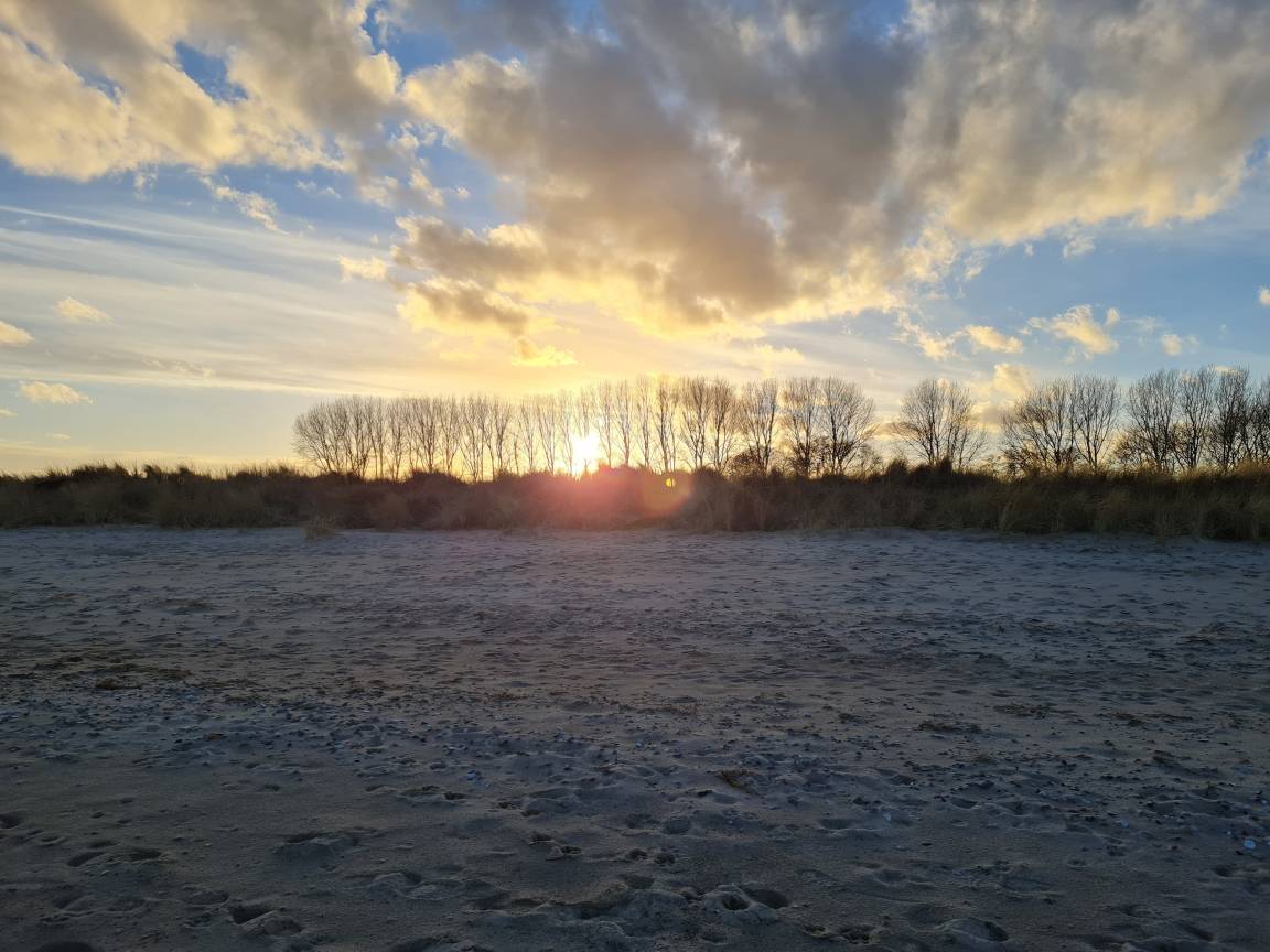 foto16