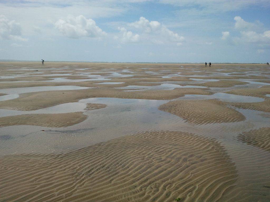 foto15