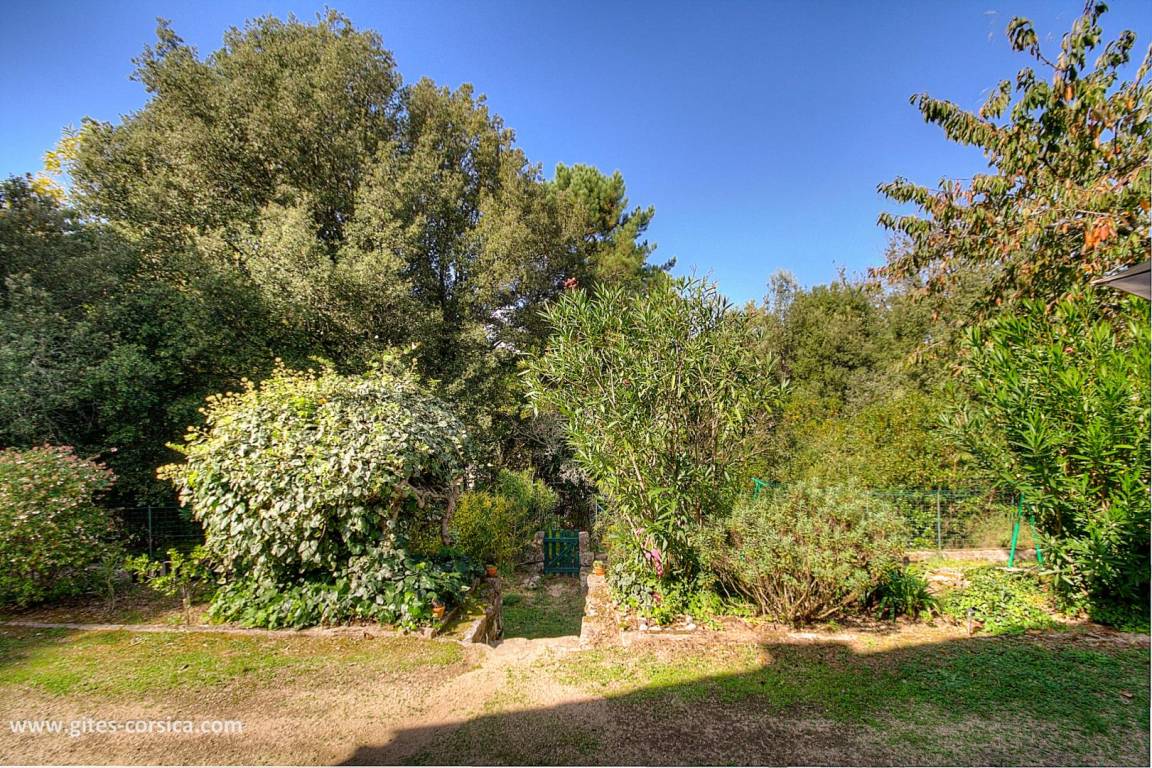 foto22