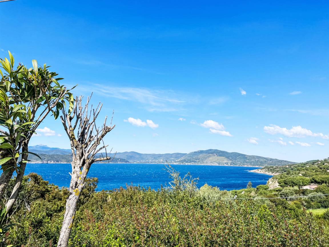 24 M² Appartement ∙ 1 Chambre ∙ 2 Personnes - Capoliveri